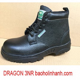 giày dragon 3nr tại hà nội